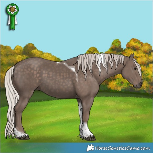 Horse Color:Silver Black Tobiano 