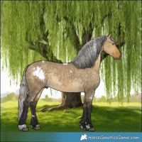 Horse Color:White Spotted Silver Buckskin Dun Rabicano 