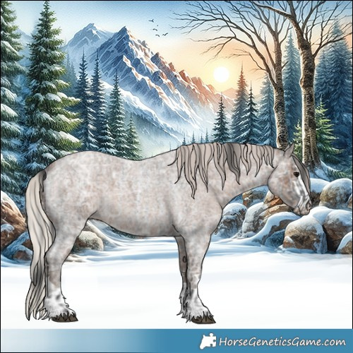 Horse Color:Blue Ice Roan  and Silver Blue Ice Roan 
