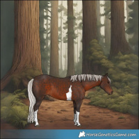 Horse Color:Silver Brown Tobiano 
