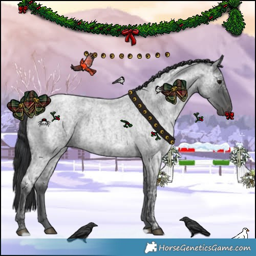 Horse Color:Blue Ice Roan  and Blue Ice Roan 