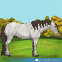 Horse Color:Blue Ice Roan and Classic Champagne Ice Roan