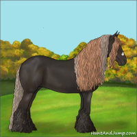 Horse Color:Liver Chestnut  and Liver Chestnut 