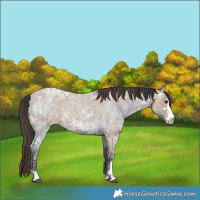 Horse Color:Blue Ice Roan  and Classic Champagne Ice Roan 