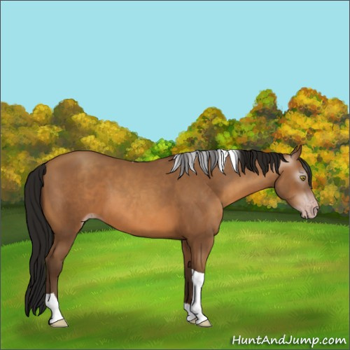 Horse Color:Gray Amber Champagne Tobiano 