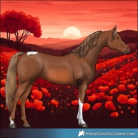 Horse Color:Chestnut Sabino Tobiano