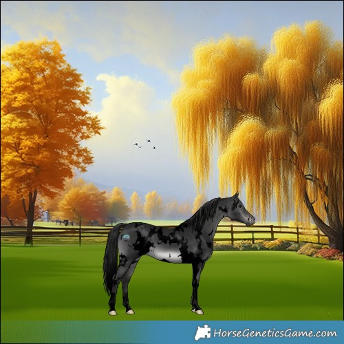 Horse Color:Gray Void Platinum White Spotted Brown Dun