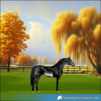 Horse Color:Gray Void Platinum White Spotted Brown Dun 