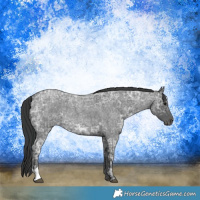 Horse Color:Blue Ice Roan  and Blue Ice Roan 