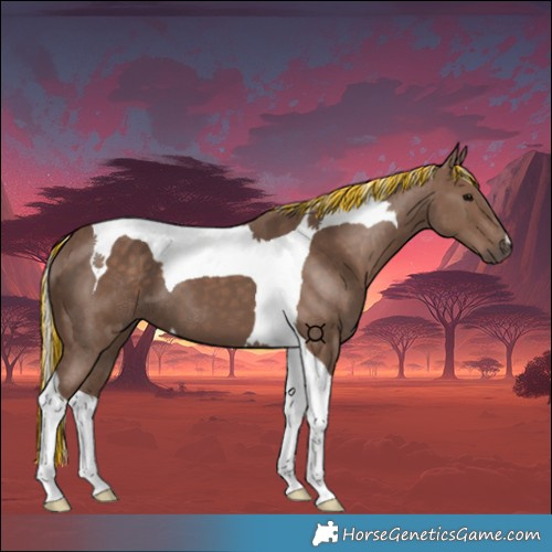 Horse Color:Painted Silver Black Tobiano 