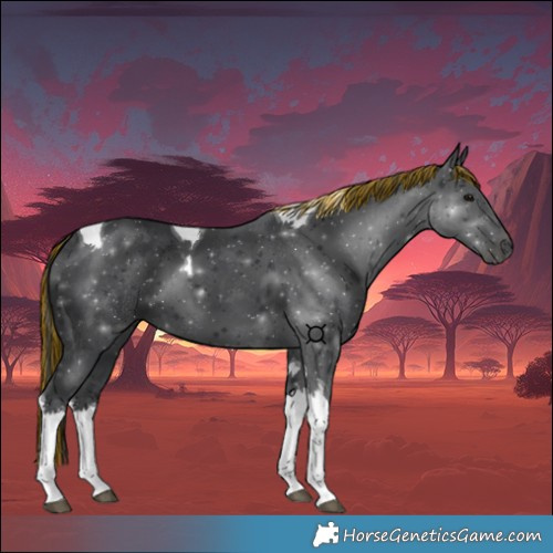 Horse Color:Painted Black Tobiano 