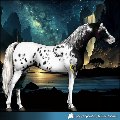 Horse Color:Midnight Liver Chestnut Ice Mushroom Sabino Tobiano Appaloosa