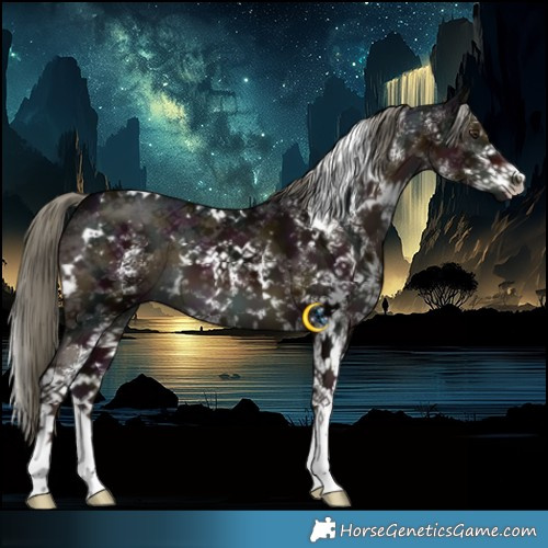 Horse Color:White Spotted Midnight Liver Chestnut Mushroom 