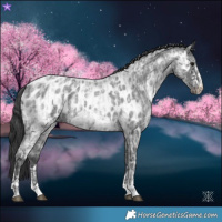 Horse Color:Blue Ice Roan  and Blue Ice Roan Near Leopard 