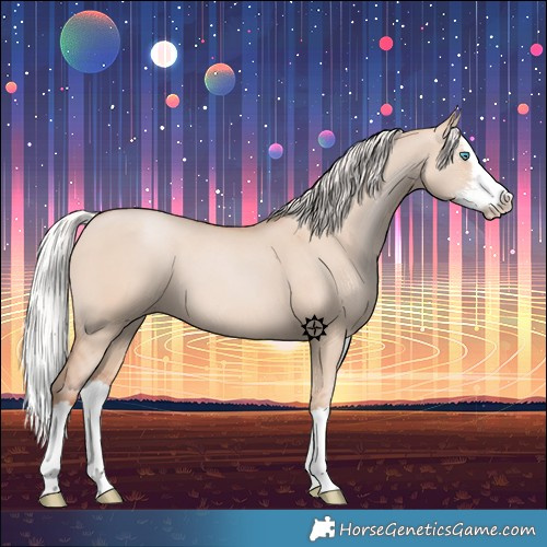 Horse Color:Silver Classic Champagne Dun Sabino Splash 