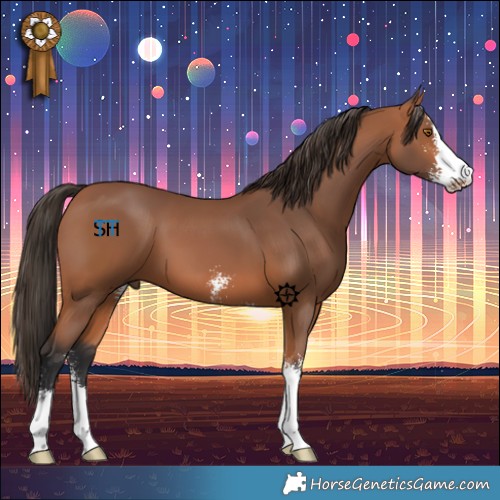 Horse Color:Bay Sabino 