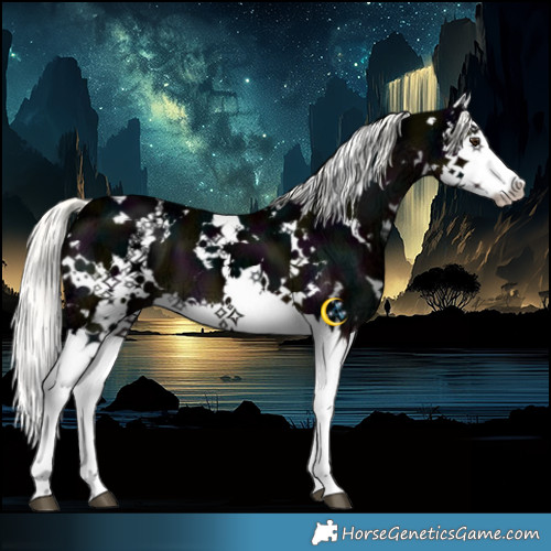 Horse Color:White Spotted Midnight Liver Chestnut Ice Mushroom Splash