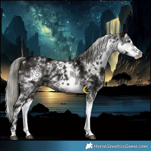 Horse Color:White Spotted Midnight Liver Red Dun Ice Mushroom 