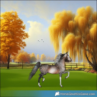 Horse Color:Gray Brown Tobiano Snowflake Varnish Rabicano 