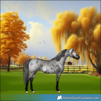 Horse Color:Gray Void Platinum Bay Dun Sabino Appaloosa Rabicano