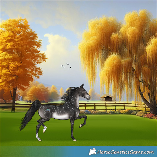 Horse Color:Gray Platinum Brown Appaloosa Rabicano 