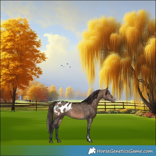 Horse Color:Brown Dun Sabino Blanket
