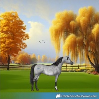 Horse Color:Platinum Buckskin Dun Rabicano 