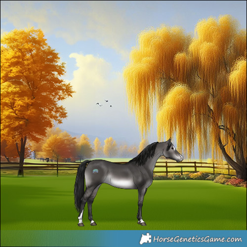 Horse Color:Gray Platinum Brown Dun Sabino Rabicano