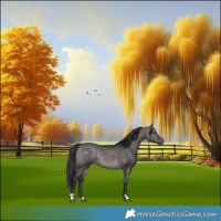 Horse Color:Platinum Brown Dun Rabicano 