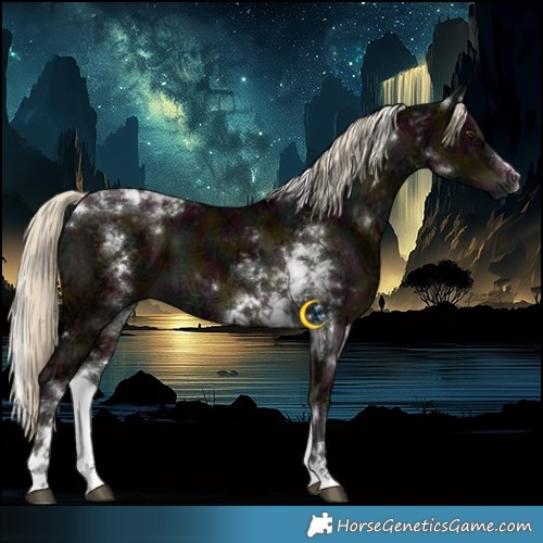 Horse Color:White Spotted Midnight Chocolate Palomino Ice Tobiano