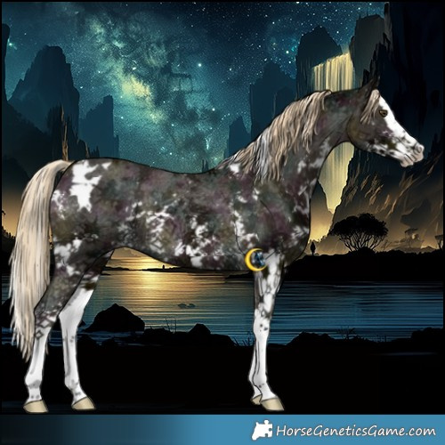 Horse Color:White Spotted Midnight Chocolate Palomino Ice Mushroom Sabino Splash Varnish Rabicano