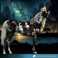 Horse Color:White Spotted Midnight Liver Chestnut Ice Mushroom Rabicano 