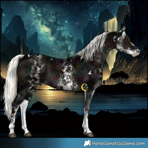 Horse Color:White Spotted Midnight Liver Chestnut Ice Mushroom Rabicano 