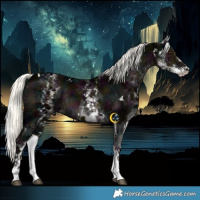 Horse Color:White Spotted Midnight Liver Chestnut Ice Mushroom Rabicano 