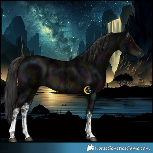 Horse Color:White Spotted Midnight Liver Chestnut Ice 