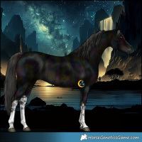 Horse Color:White Spotted Midnight Liver Chestnut Ice 