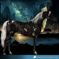 Horse Color:White Spotted Midnight Liver Chestnut Ice Mushroom Rabicano 