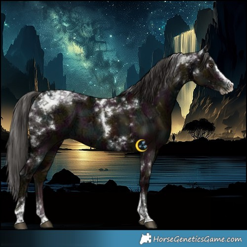 Horse Color:Midnight Liver Red Dun Ice Splash Tobiano 