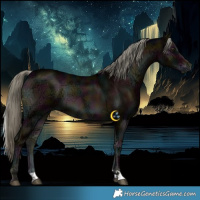 Horse Color:Midnight Liver Red Onyx Ice Mushroom 