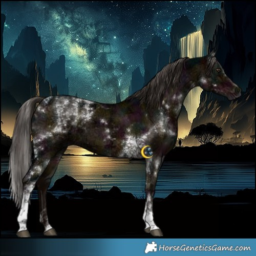 Horse Color:Gray Midnight Liver Red Dun Ice Tobiano Brindle