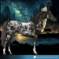 Horse Color:White Spotted Midnight Liver Red Dun Ice Tobiano Brindle 