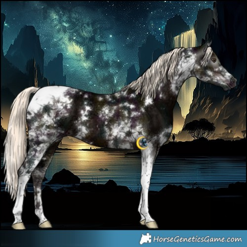 Horse Color:Gray White Spotted Midnight Liver Chestnut Ice Mushroom Tobiano
