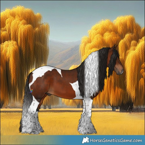 Horse Color:Gray Bay Tobiano 