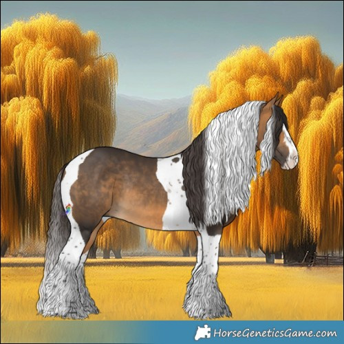 Horse Color:Buckskin Splash Tobiano Rabicano