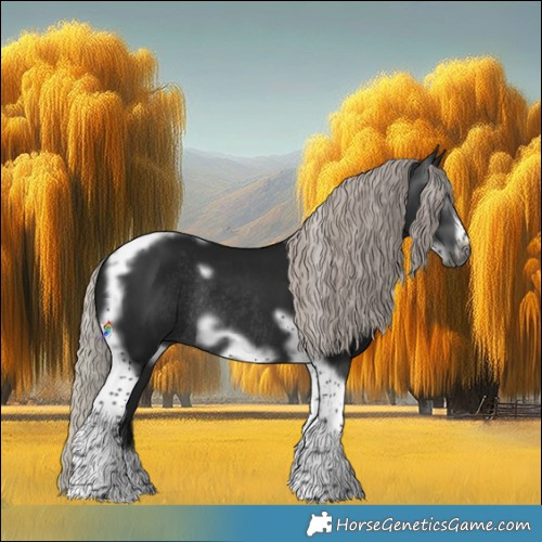 Horse Color:Gray Silver Brown Tobiano Frame Rabicano