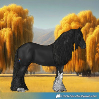 Horse Color:Gray Black Tobiano 