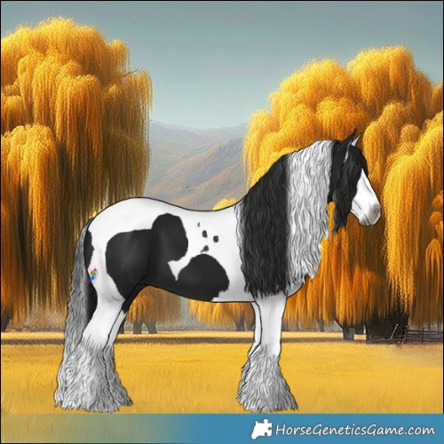 Horse Color:Gray Black Splash Tobiano 