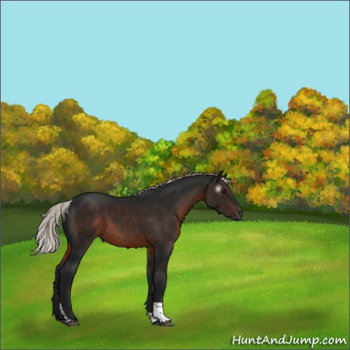 Horse Color:Gray Silver Brown Tobiano 