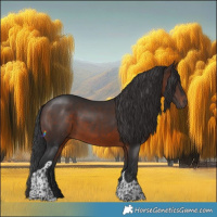Horse Color:Brown Tobiano 