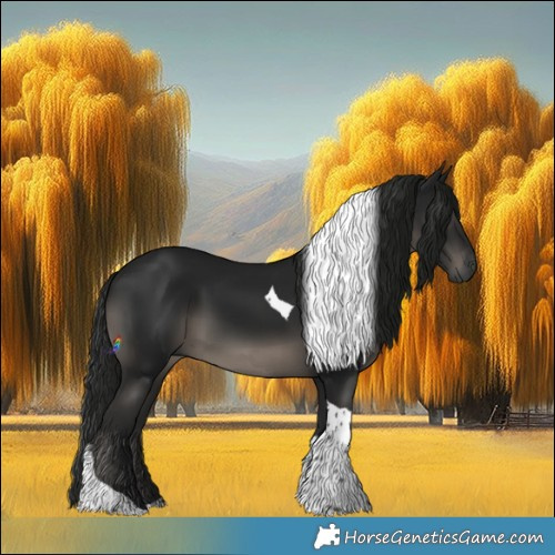 Horse Color:Gray Black Tobiano Rabicano 